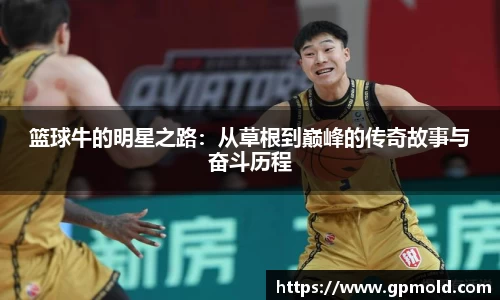 篮球牛的明星之路：从草根到巅峰的传奇故事与奋斗历程
